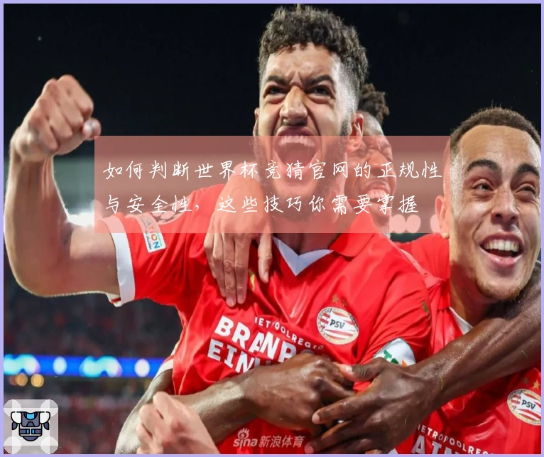 如何判断世界杯竞猜官网的正规性与安全性，这些技巧你需要掌握