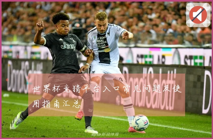 世界杯竞猜平台入口常见问题及使用指南汇总