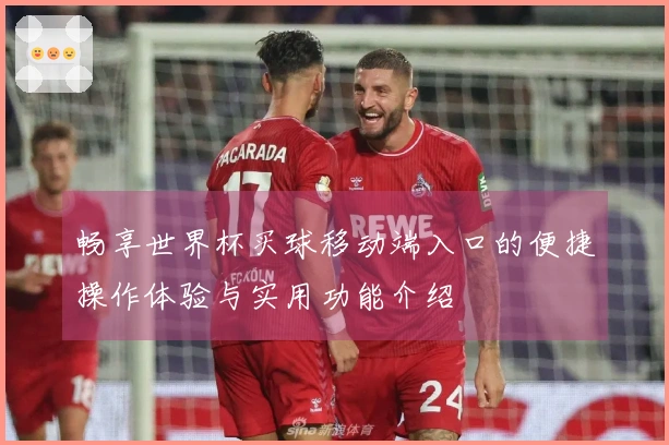 畅享世界杯买球移动端入口的便捷操作体验与实用功能介绍