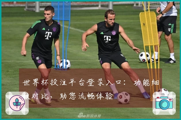 世界杯投注平台登录入口：功能细致对比，助您流畅体验