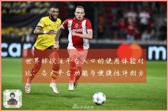 世界杯投注平台入口的使用体验对比：各大平台功能与便捷性评测分析