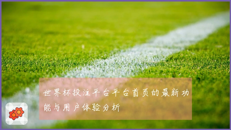 世界杯投注平台平台首页的最新功能与用户体验分析