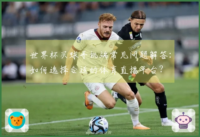 世界杯买球手机端常见问题解答：如何选择合适的体育直播平台？