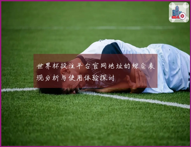 世界杯投注平台官网地址的综合表现分析与使用体验探讨