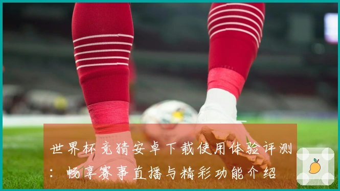 世界杯竞猜安卓下载使用体验评测：畅享赛事直播与精彩功能介绍