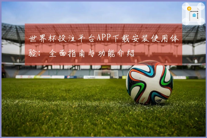 世界杯投注平台APP下载安装使用体验：全面指南与功能介绍