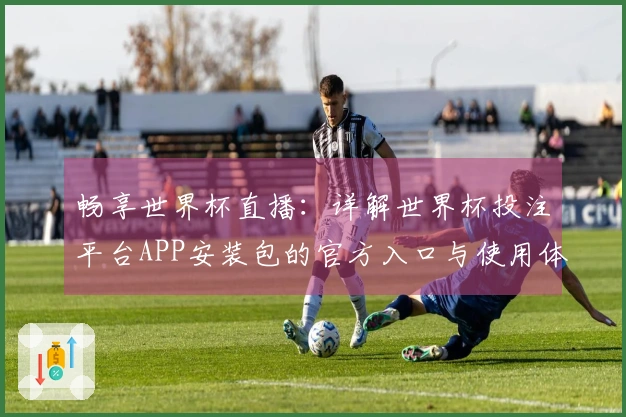 畅享世界杯直播：详解世界杯投注平台APP安装包的官方入口与使用体验