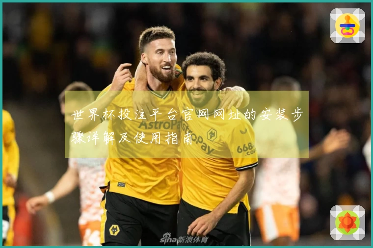 世界杯投注平台官网网址的安装步骤详解及使用指南